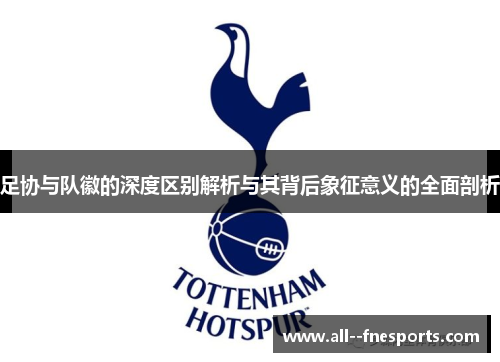 足协与队徽的深度区别解析与其背后象征意义的全面剖析