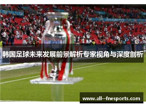 韩国足球未来发展前景解析专家视角与深度剖析