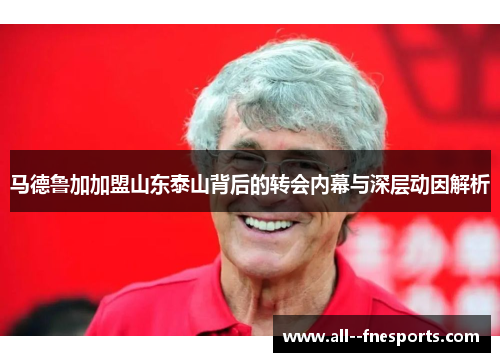 马德鲁加加盟山东泰山背后的转会内幕与深层动因解析 马德鲁加加盟山东泰山背后的转会内幕与深层动因解析